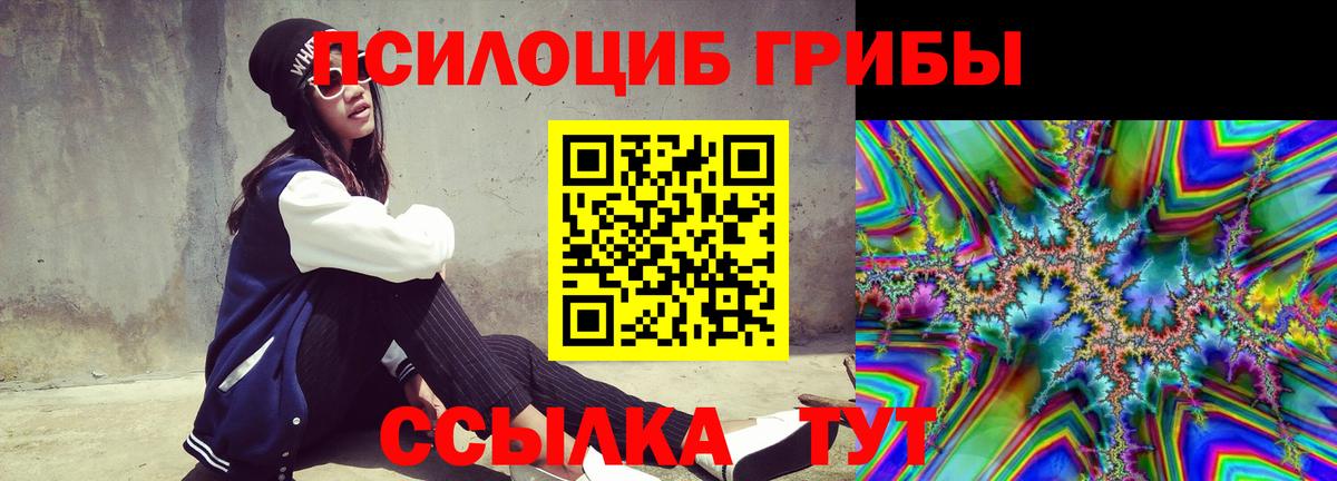 Псилоцибиновые грибы MAGIC MUSHROOMS  Вход с VPN  дарнет шоп  Шали  Галлюциногенные грибы мухоморы 
